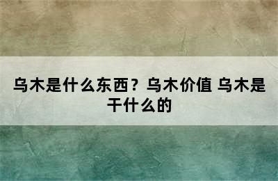 乌木是什么东西？乌木价值 乌木是干什么的